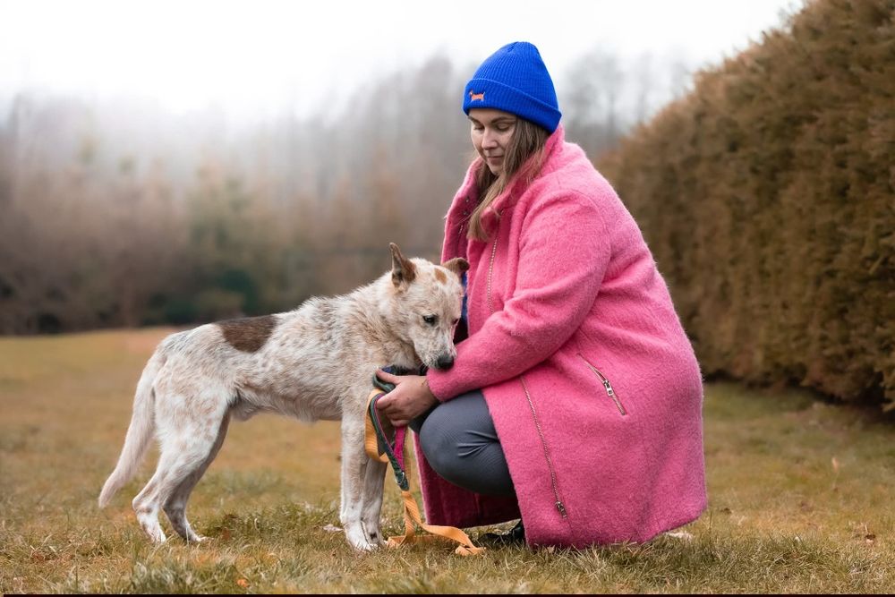 Tutti - sympatyczny, proludzki i wesoły psiak