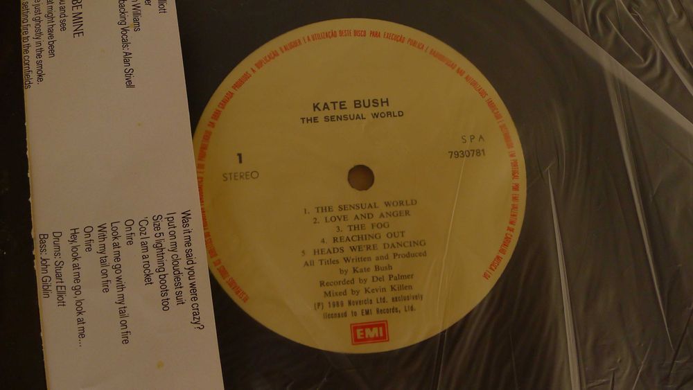 Vinil The Sensual World - Kate Bush