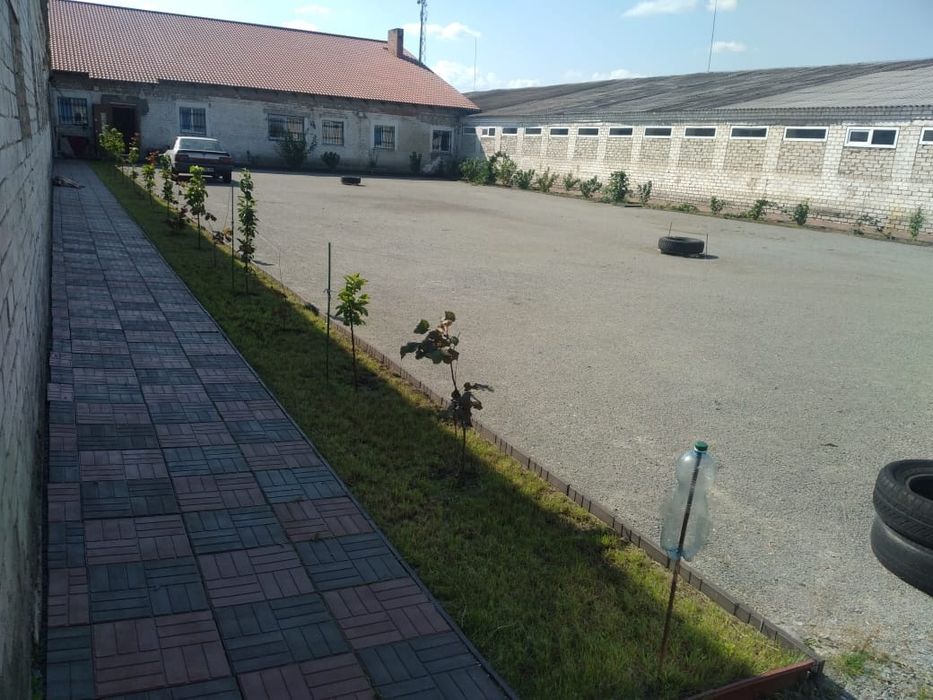Оренда виробничих і складських приміщень - Більше