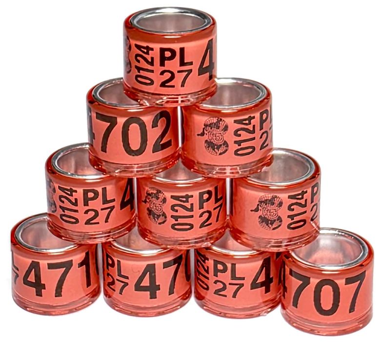 Obrączki na gołębie pocztowe 2027