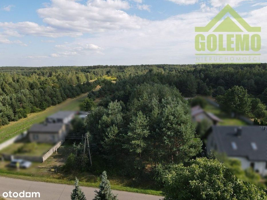 Działka Budowlana / 16460 m² / Aleksandria Druga - Widok 3