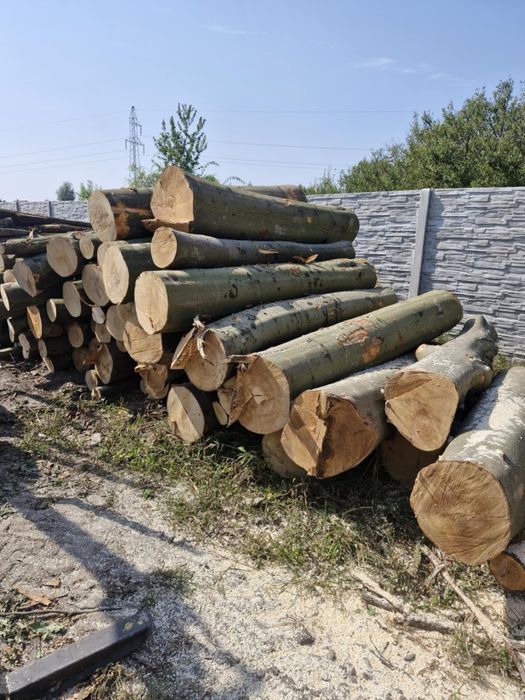 drewno drzewo opałowe kominkowe