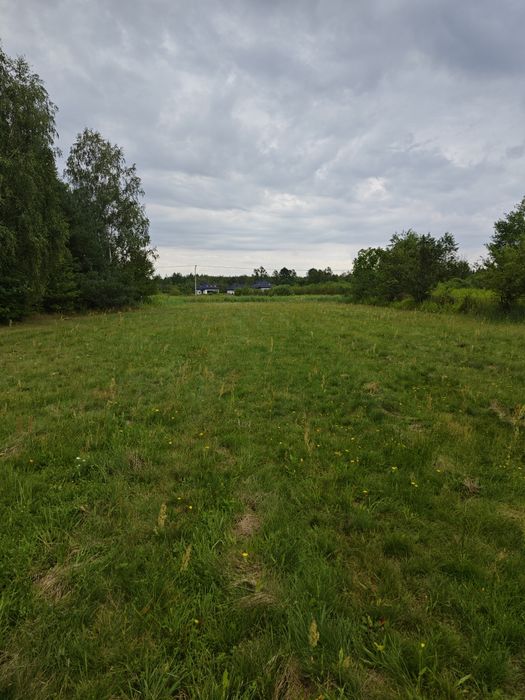 Twój własny dom z „drzwiami do lasu” – działka 45 arów z bezterminowymi WZ - Widok 4