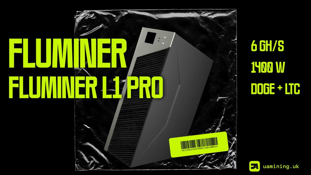 Fluminer L1 Pro 6 GH/s У РОЗСТРОЧКУ