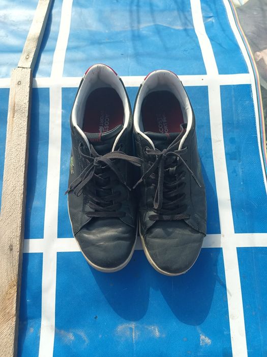 Кросівки чоловічі Lacoste