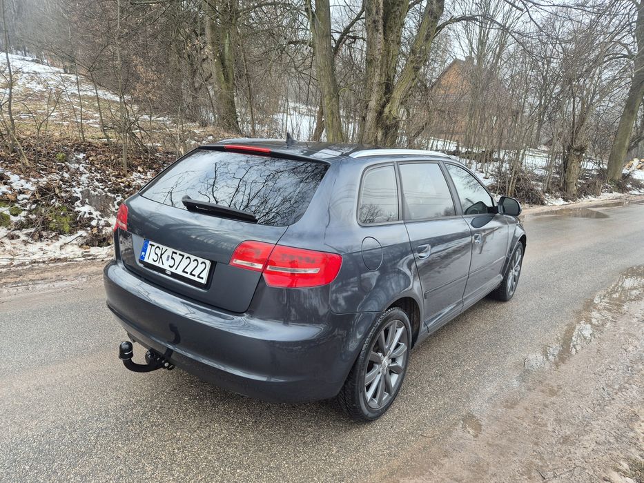 Audi A3 8P 1.6TDI
