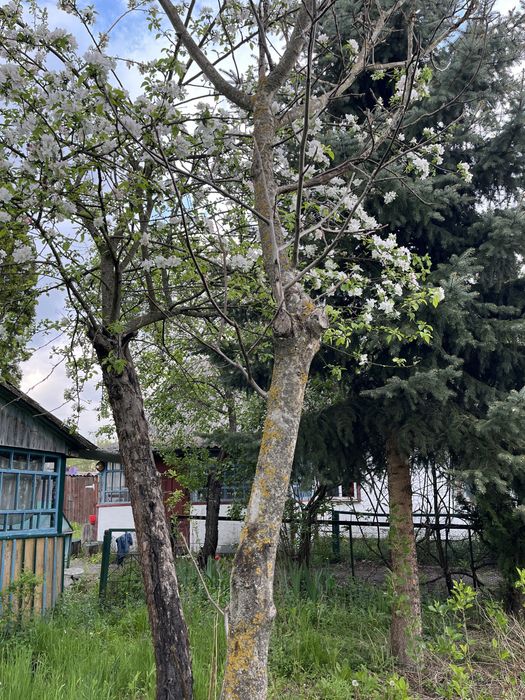 Продається житловий будинок