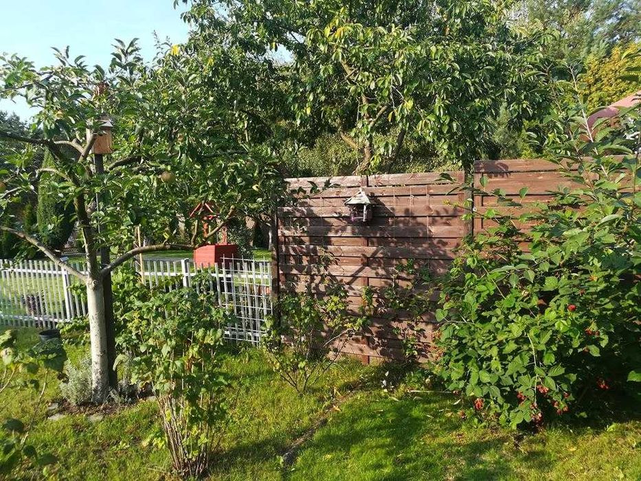 Duża działka ROD Wronki Borek