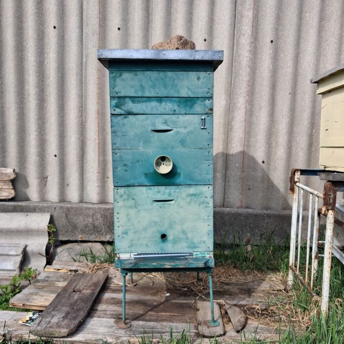 Вулики дерев'яні дадан на 10 /12 рамок