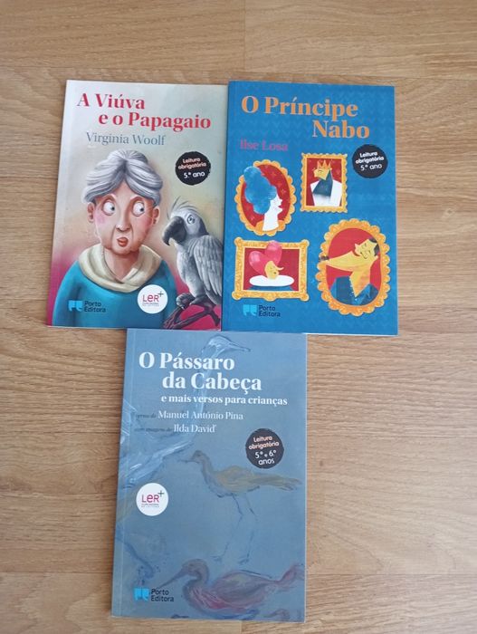 Grade 5 Reading Books
Grade 5 Reading – Curriculum Goals.64283848187906120