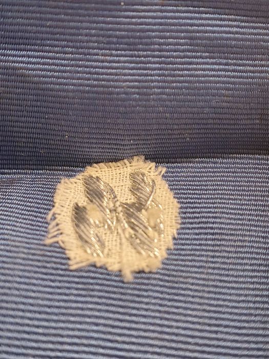 Militaria Medalha de 12 anos em  estojo das SS