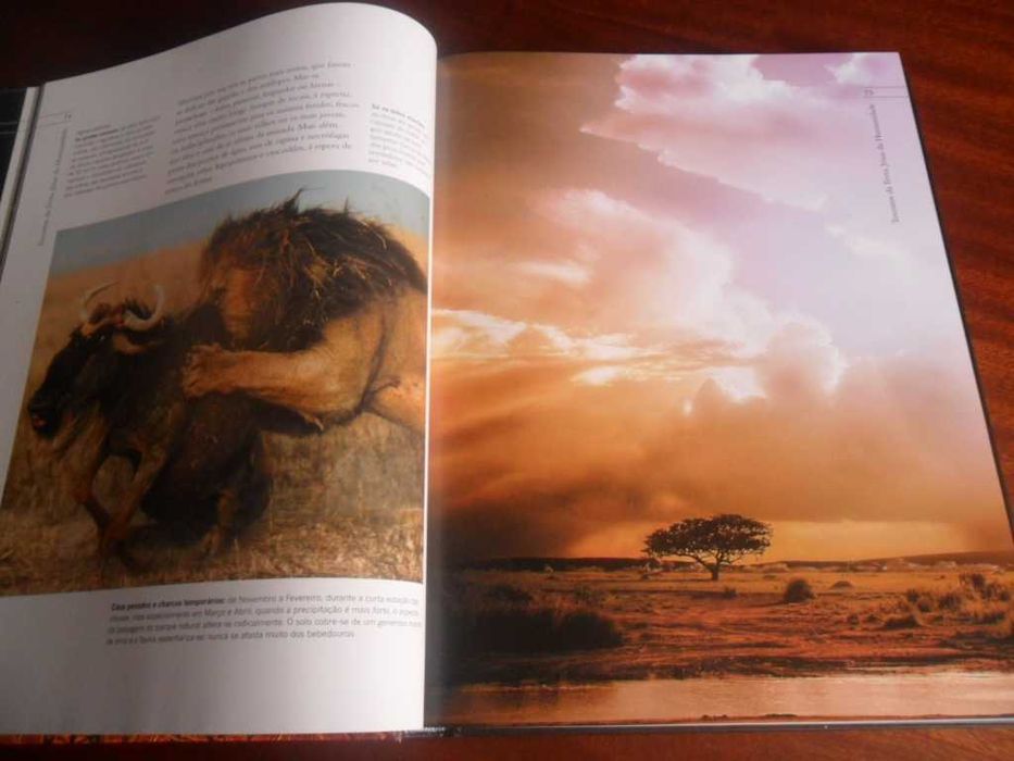"Tesouros da Terra, Joias da Humanidade" de Vários - 1ª Edição de 2009