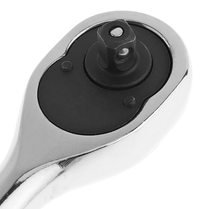 Тріскачка шарнірна