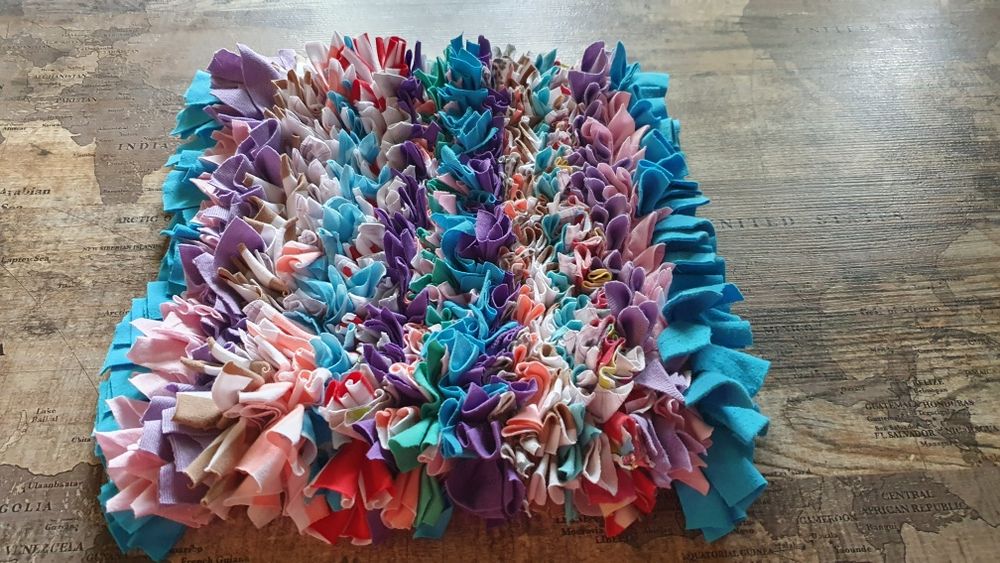 Mata węchowa dla psa lub kota