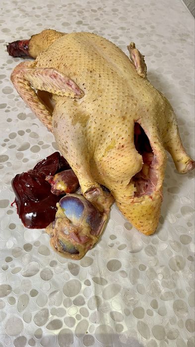 Домашня Качка (220) грн/кг)