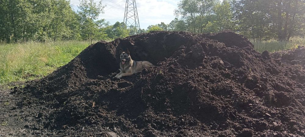 Ziemia ogrodowa czarnoziem naturalny kompost 5 ton