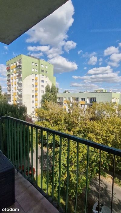 Zdjęcie 8