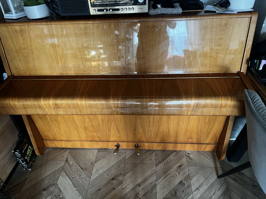 Pianino calisia