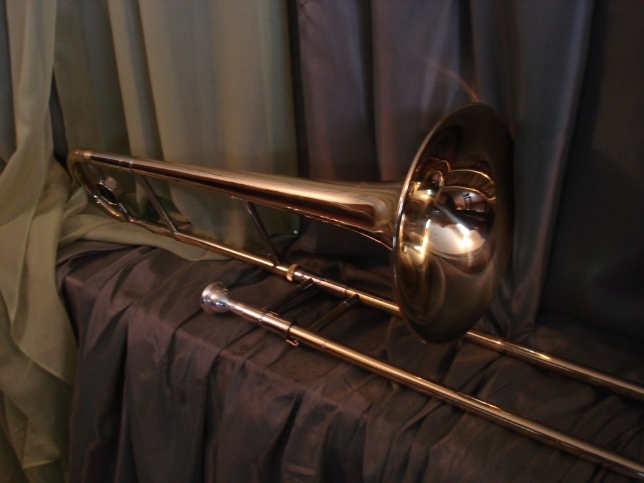 Тромбон Stagg WS-Tb245S