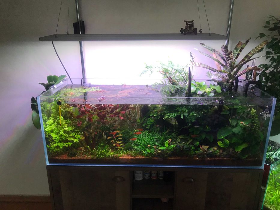 Аквариум д120/ш45/в40 стекло 10мм Диамант(Оптивайт).