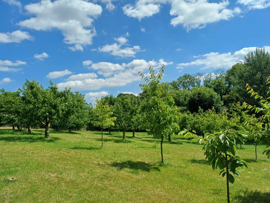 Sprzedam atrakcyjny dom z ogrodem Raszów