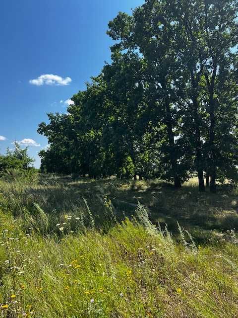 Продаються ділянки  біля села Озера Бучанського району.