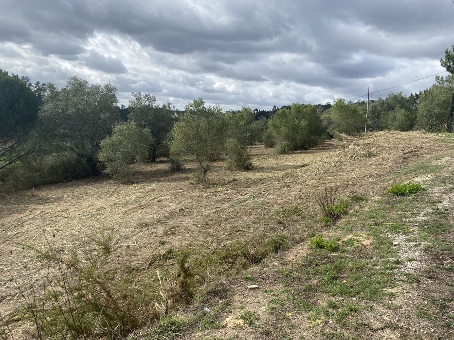 Vendo terreno Matas, Ourém