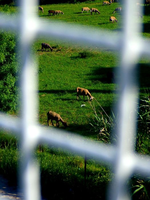 Fotos profissionais de produtos – preços acessíveis