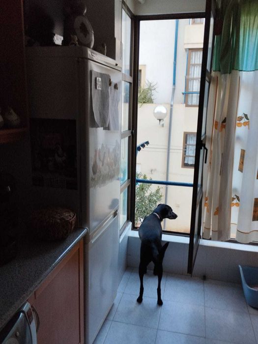 Apartamento T2 à Venda – 1.º Andar – Santiago Maior, Beja