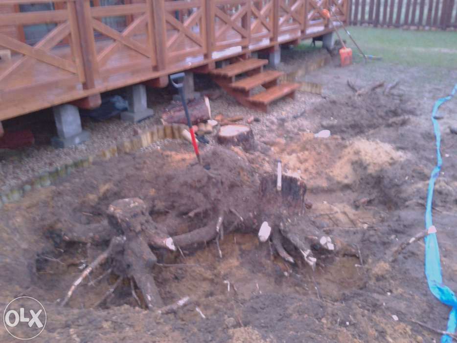 Wycinka drzew , karczowanie korzeni , ŻYWOPŁOTY-cięcie