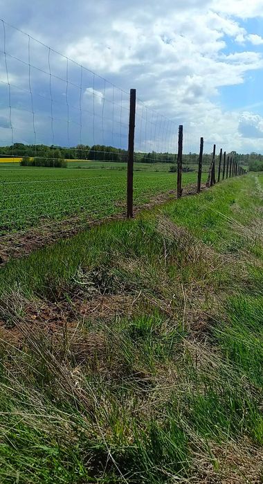 słupki ogrodzeniowe,kołki drewniane ,paliki, ogrodzenie budowlane  tymczasowe