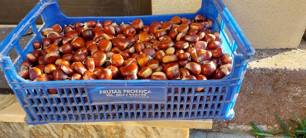 Castanha a 3€/Kg de Ponte da Barca