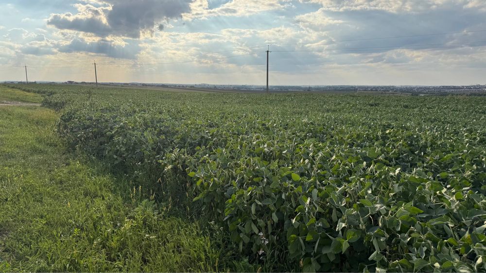 Продаж земельної ділянки