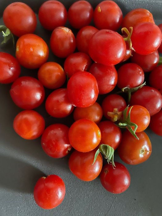 Tomate cereja cherry