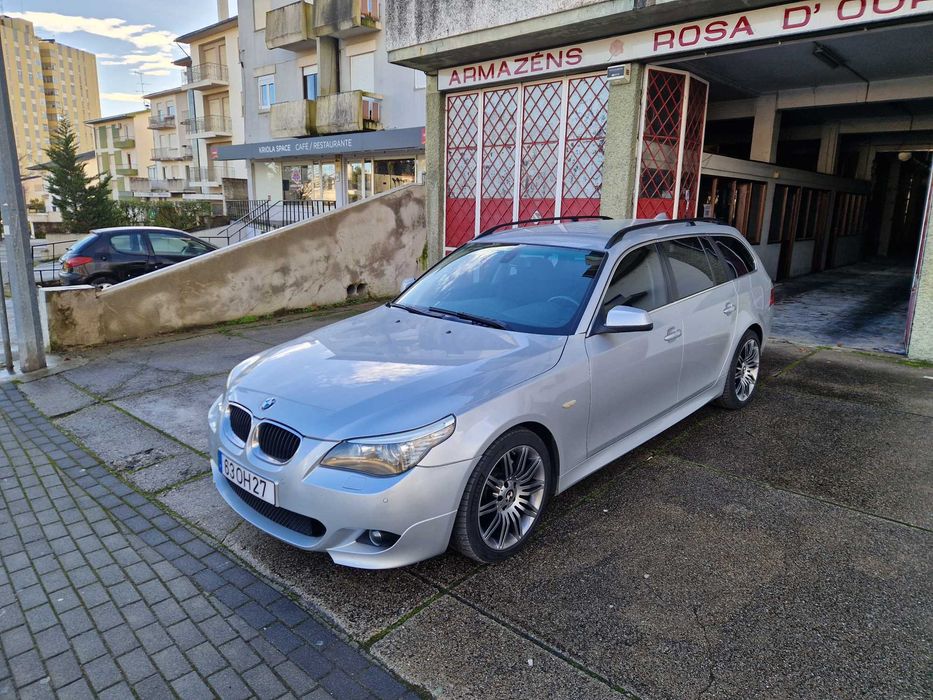 Procuro novo dono que me trate tão bem como este