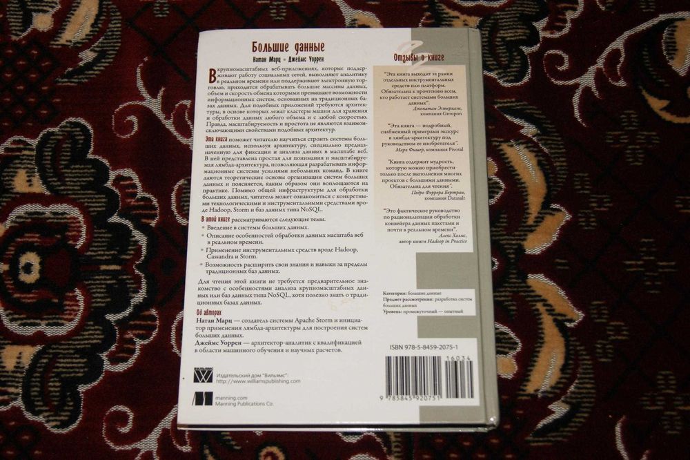 Книга Big Data Большие данные - системы в реальном времени Марц Уоррен