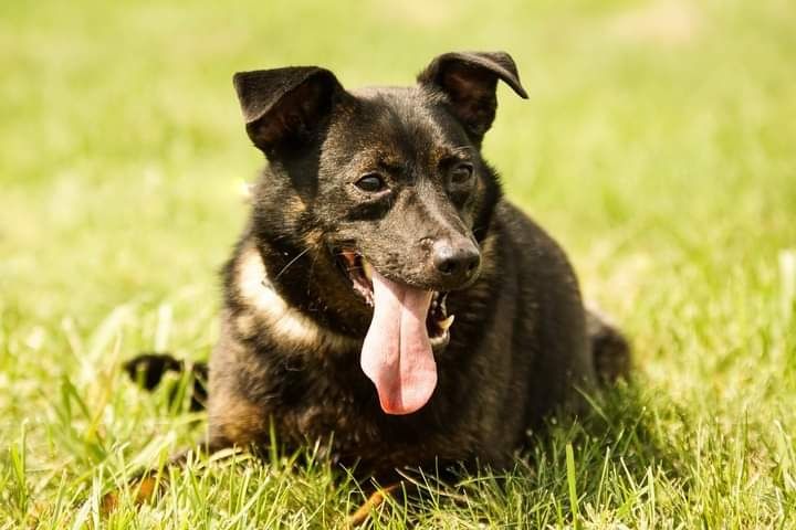 Zrobiła ogromne postępy! Szuka kochającej Rodziny!