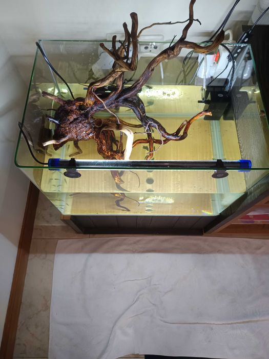 Aquário e peixes