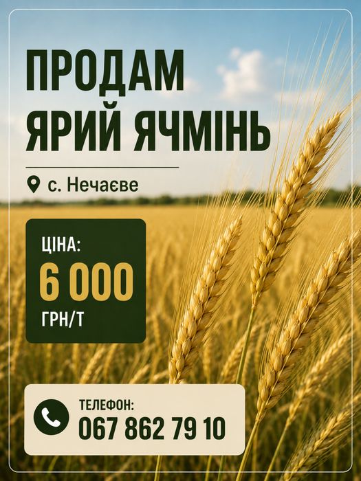 Продам ячмінь ярий