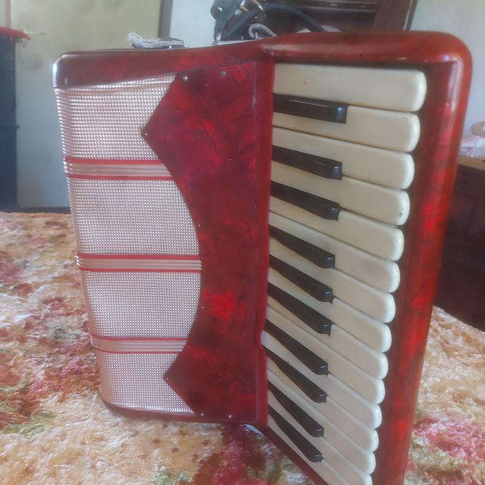 Acordeão em bom estado