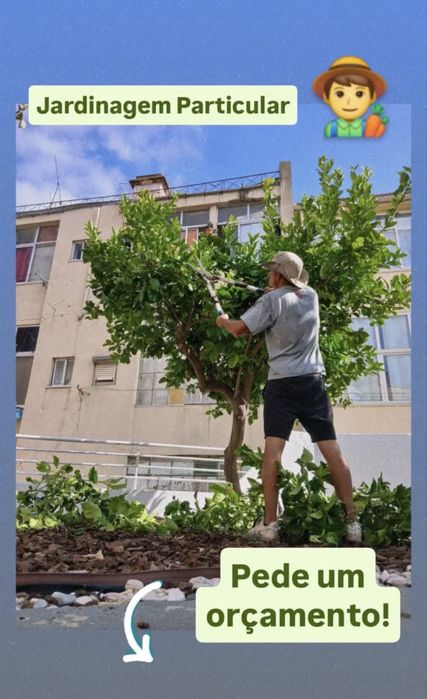 Jardineiro particular