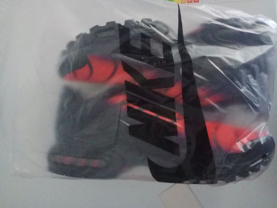 Nike air max plus TN