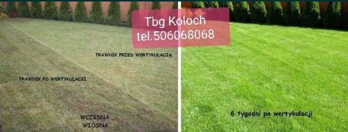 Kompleksowe usługi ogrodnicze