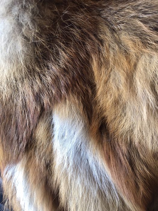 Casaco pele raposa da Jugoslávia