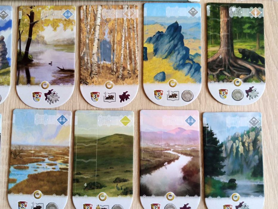 Настольная игра  Stroganov