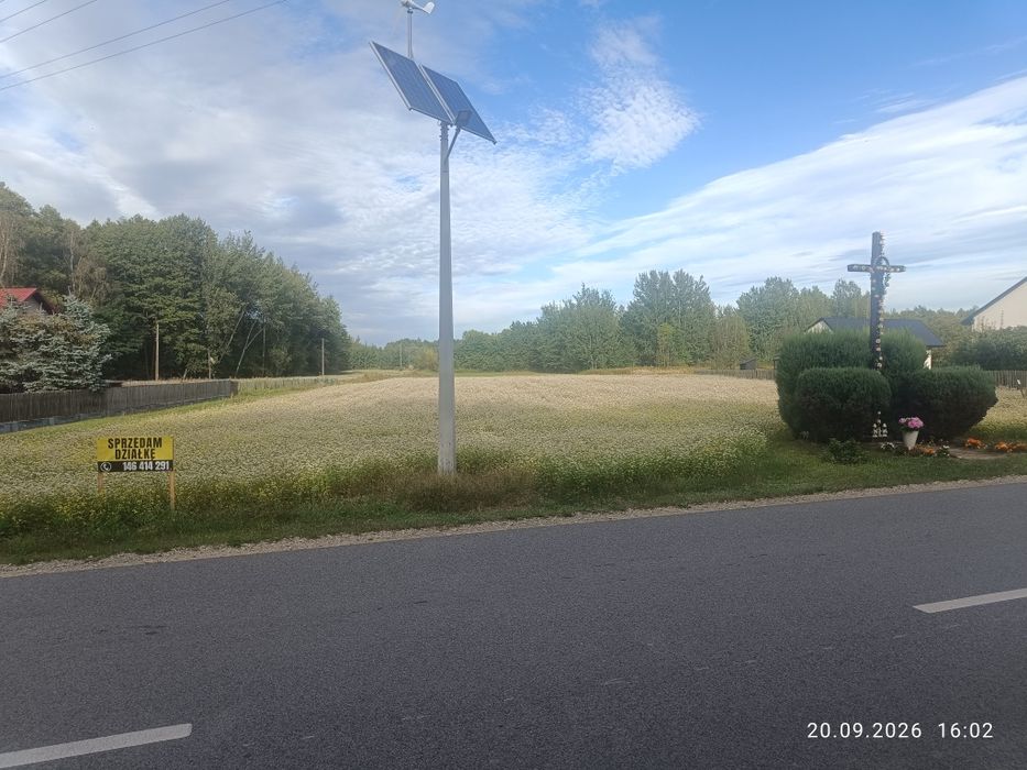 Zdjęcie 4