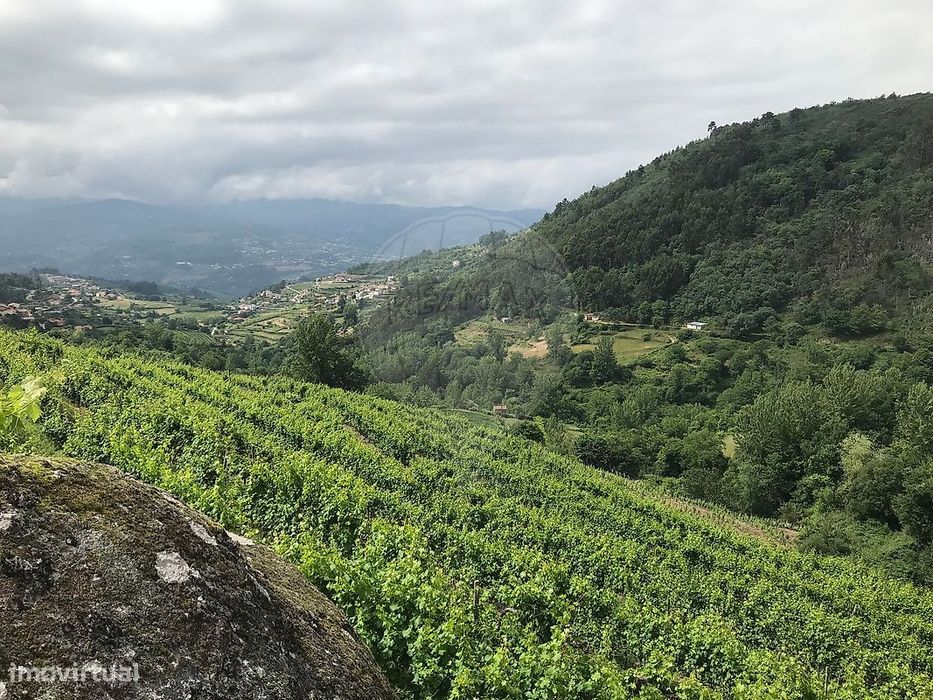 Terreno  para venda — Santa Marinha do Zêzere, Porto