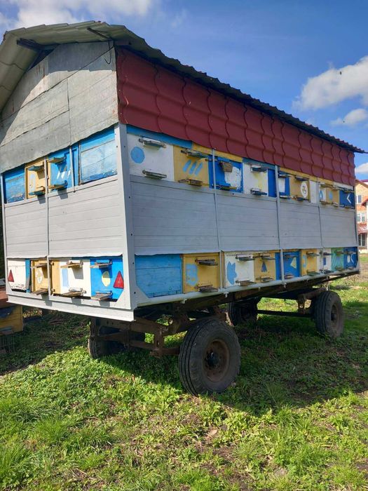 Продам павільйон з бджолами.