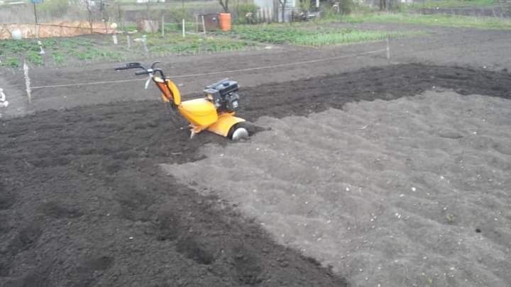 Glebogryzarka separacyjna - usługi