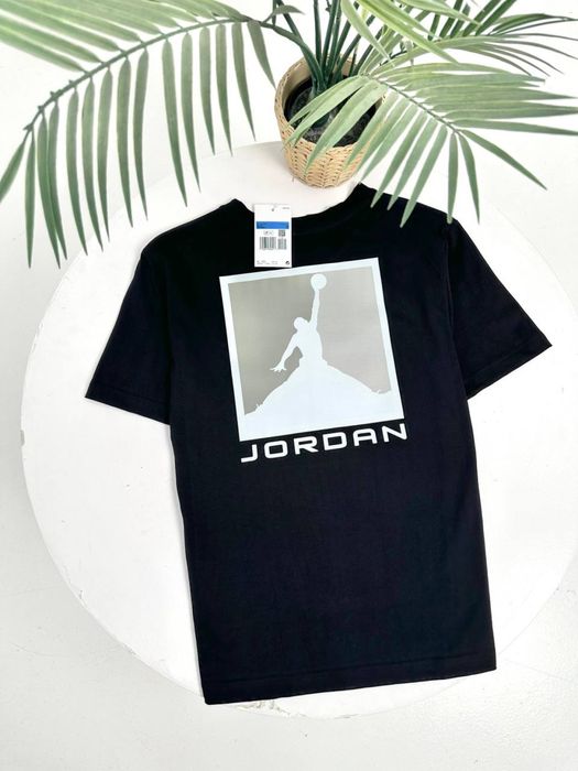 Мужская спортивная футболка джордан Jordan